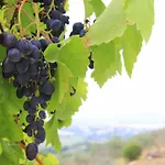 Pekko Casa di campagna *