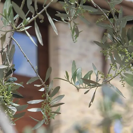 Landhaus Pekko Spello