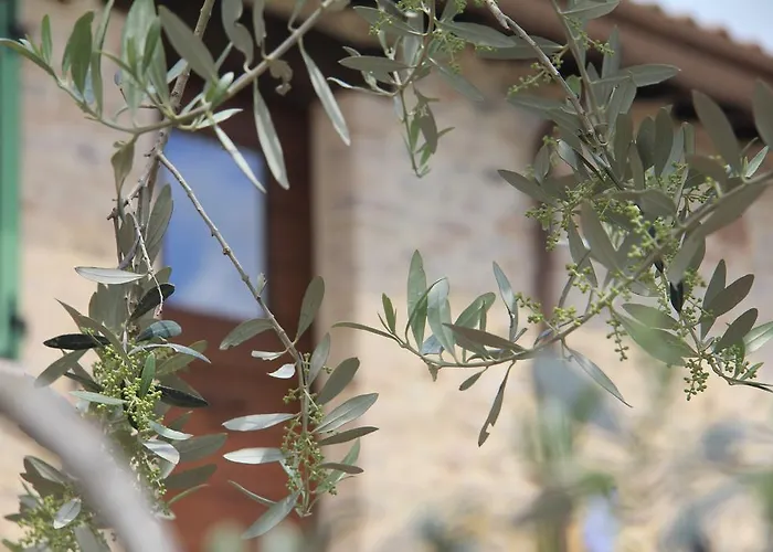 Casa rural Pekko Spello