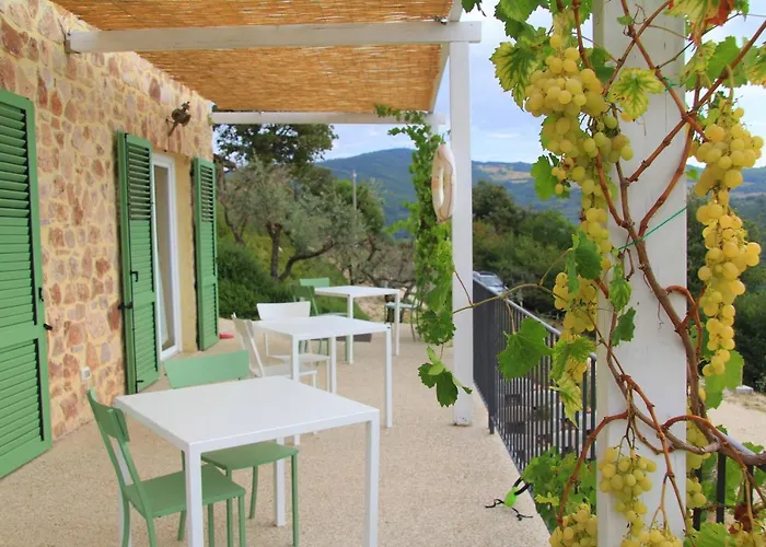 Pekko Casa de Campo *